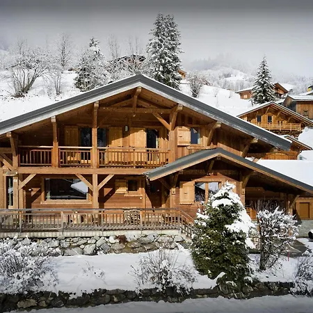La Canopee - Ovo Network *